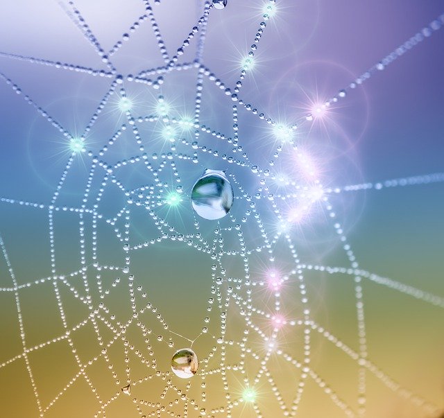 Bezpłatne pobieranie Canvas Spider Dew - bezpłatne zdjęcie lub obraz do edycji za pomocą internetowego edytora obrazów GIMP