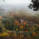 Canyons and forests  screen for extension Chrome web store in OffiDocs Chromium