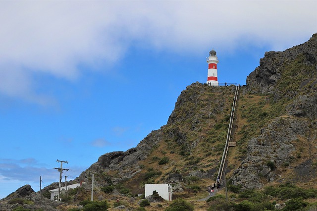 Free download cape palliser light house free picture to be edited with GIMP free online image editor