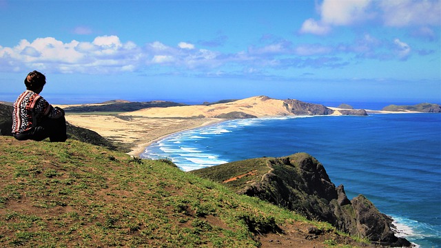 دانلود رایگان عکس Cape reinga منظره نیوزیلند رایگان برای ویرایش با ویرایشگر تصویر آنلاین رایگان GIMP