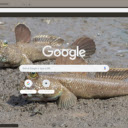 Ca phong  screen for extension Chrome web store in OffiDocs Chromium