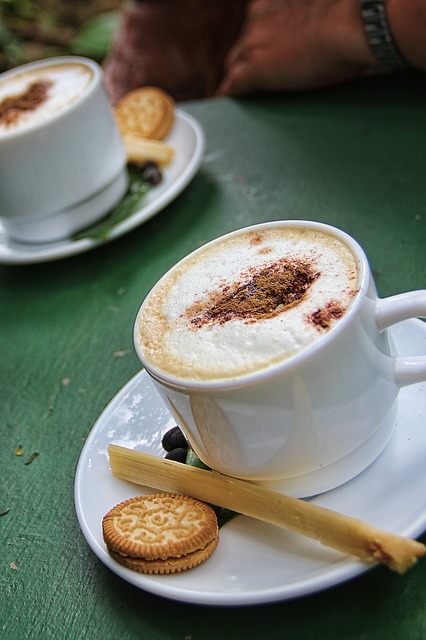 Free download cappuccino coffee cup milk foam free picture to be edited with GIMP free online image editor