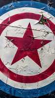 Free download CAPTAIN AMERICA free photo or picture to be edited with GIMP online image editor