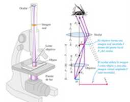 Free download Captura. PNGbgbg free photo or picture to be edited with GIMP online image editor