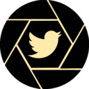 Capture My Tweet  


<div>
<p></p>



<div class=