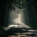 captures a dreamy path winding through the forest  screen for extension Chrome web store in OffiDocs Chromium