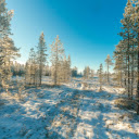 captures dawn in a snow covered pine forest  screen for extension Chrome web store in OffiDocs Chromium
