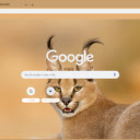 Caracal  screen for extension Chrome web store in OffiDocs Chromium