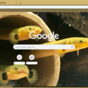 Ca ran  screen for extension Chrome web store in OffiDocs Chromium