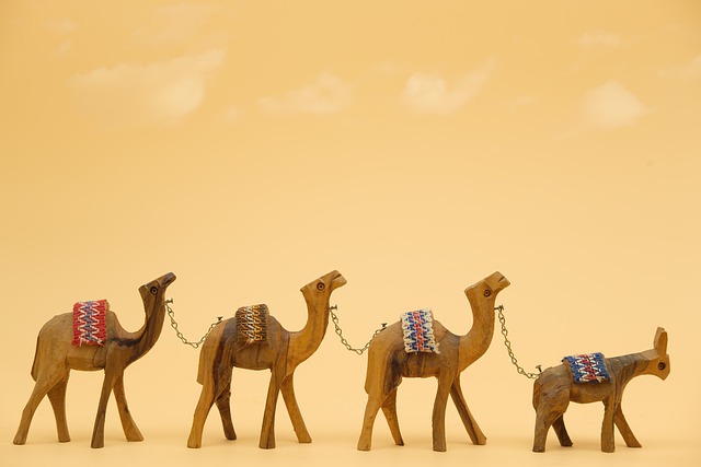 Free download caravan camel dromedary animal free picture to be edited with GIMP free online image editor
