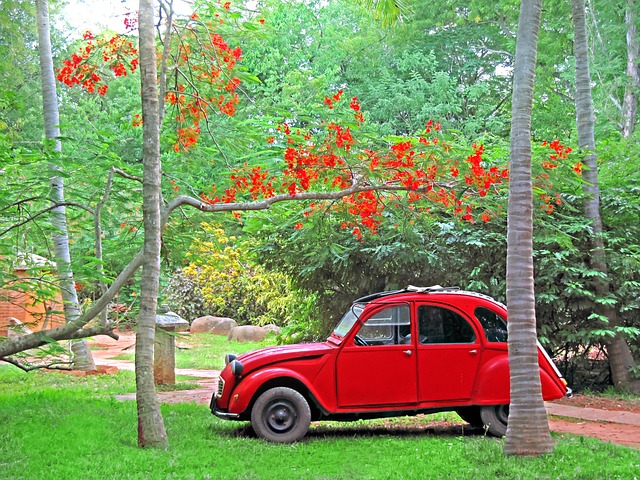Free download car citroen 2cv red classic old free picture to be edited with GIMP free online image editor