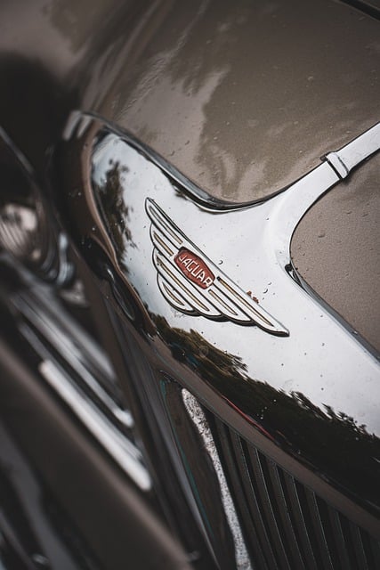 Kostenloser Download des Auto-Jaguar-Logos, eines alten Oldtimers, kostenloses Bild zur Bearbeitung mit dem kostenlosen Online-Bildeditor GIMP