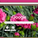 Carnation  screen for extension Chrome web store in OffiDocs Chromium