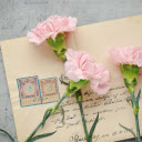 Carnation Branch on a Greeting Card  screen for extension Chrome web store in OffiDocs Chromium