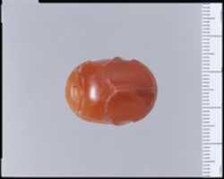 Free download Carnelian engraved scarab free photo or picture to be edited with GIMP online image editor
