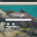Ca Ro  screen for extension Chrome web store in OffiDocs Chromium