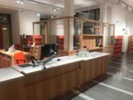 Free download Carolina Redivia 2019 Reception free photo or picture to be edited with GIMP online image editor