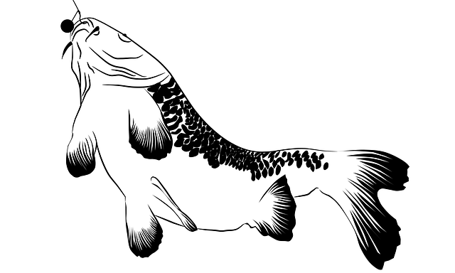 Free download Carp Fish Catch -  free illustration to be edited with GIMP free online image editor