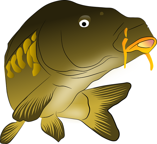 Free download Carp Fish Pond -  free illustration to be edited with GIMP free online image editor