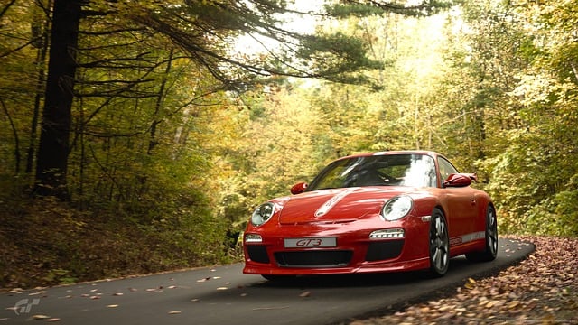 Free download car porsche road highway forest free picture to be edited with GIMP free online image editor