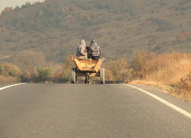 Bezpłatne pobieranie Carriage Horse Light - bezpłatne zdjęcie lub obraz do edycji za pomocą internetowego edytora obrazów GIMP