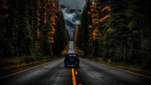 Free download car road nature trees street free picture to be edited with GIMP free online image editor