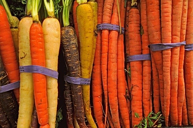 Free download Carrot Carrots Produce -  free photo or picture to be edited with GIMP online image editor