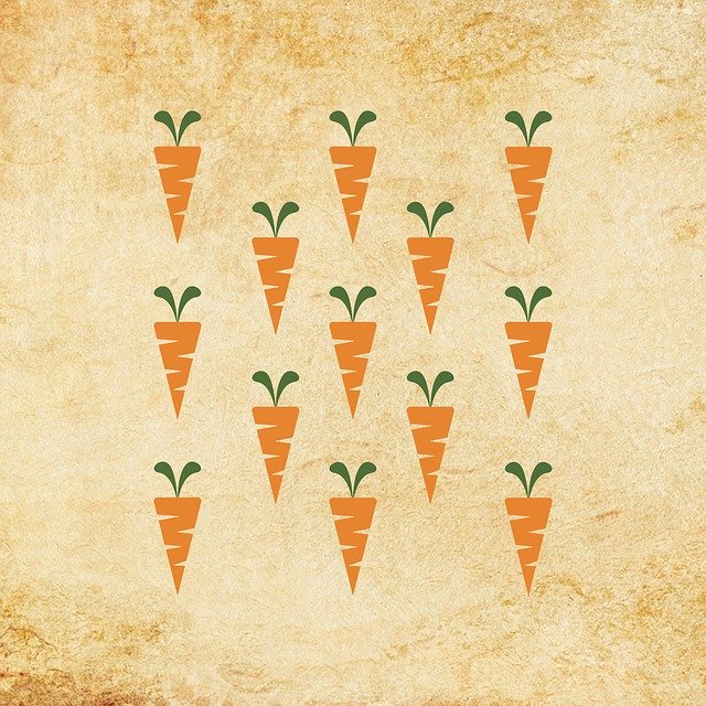Free download Carrot Carrots Vintage -  free illustration to be edited with GIMP free online image editor