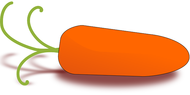 Free download Carrot Root Vegetable - Free vector graphic on Pixabay free illustration to be edited with GIMP free online image editor