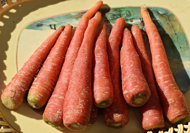 Templat Photo Carrot Vegetable Carrots - untuk OffiDocs