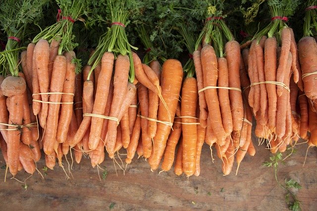 Free download Carrot Vegetable Farmers -  free photo or picture to be edited with GIMP online image editor
