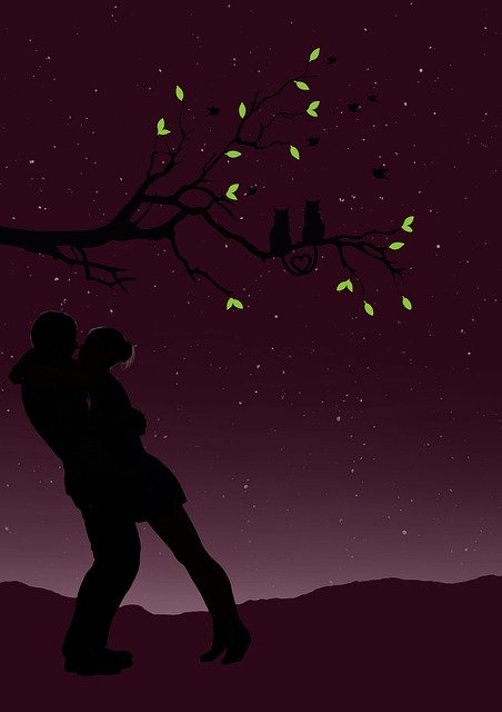 Free download Casal Night Boyfriends -  free illustration to be edited with GIMP free online image editor