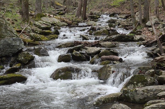 Free download Cascade Stream Nationalpark -  free photo or picture to be edited with GIMP online image editor