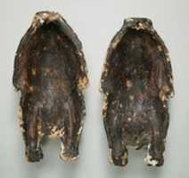 Free download Case for a Victual Pigeon or Dove Mummy free photo or picture to be edited with GIMP online image editor
