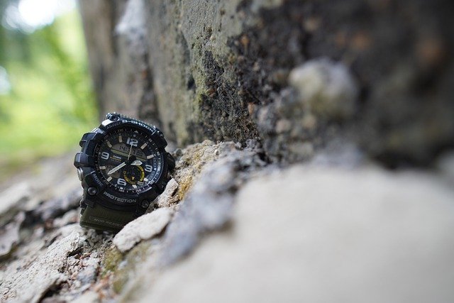 Kostenloser Download von casio forest a watch p nature kostenloses Bild, das mit dem kostenlosen Online-Bildeditor GIMP bearbeitet werden kann