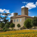 castle and chrysanthemum garden  screen for extension Chrome web store in OffiDocs Chromium