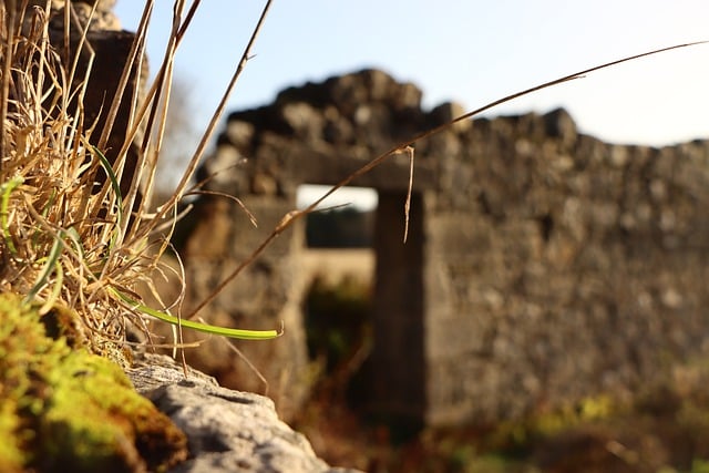 Free download castle grass ruins architecture free picture to be edited with GIMP free online image editor