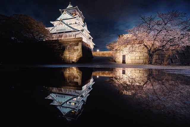 Free download castle osaka castle night view free picture to be edited with GIMP free online image editor