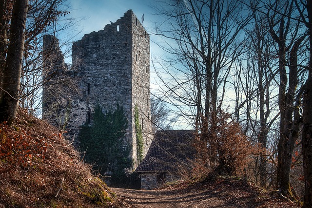 Free download castle ruins forest fortress trees free picture to be edited with GIMP free online image editor