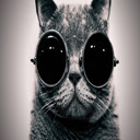 Cat 1366x768  screen for extension Chrome web store in OffiDocs Chromium