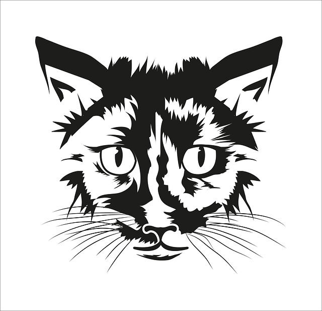 Free download Cat Animal T - Free vector graphic on Pixabay free illustration to be edited with GIMP free online image editor
