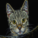 Cat Cat  screen for extension Chrome web store in OffiDocs Chromium