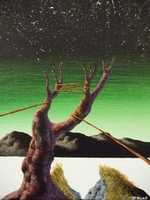 Free download CATCH 22 free photo or picture to be edited with GIMP online image editor