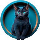 Catch the Cat Game  screen for extension Chrome web store in OffiDocs Chromium