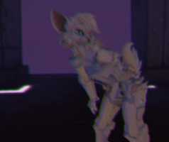 Free download Cat Cute free photo or picture to be edited with GIMP online image editor