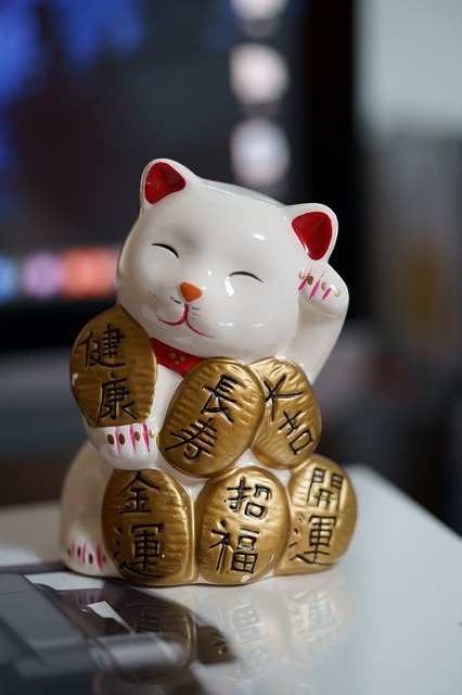 Unduh gratis Cat Doll Cute - foto atau gambar gratis untuk diedit dengan editor gambar online GIMP