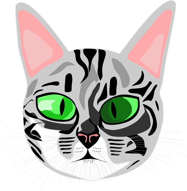 Free download Cat Gray Furry - Free vector graphic on Pixabay free illustration to be edited with GIMP free online image editor