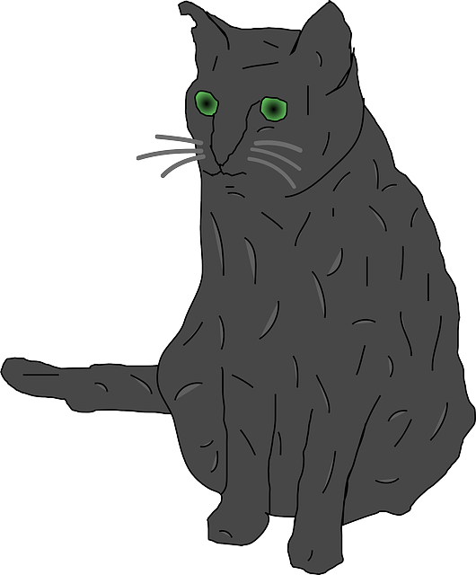 Free download Cat Grey Green Eyed Big - Free vector graphic on Pixabay free illustration to be edited with GIMP free online image editor