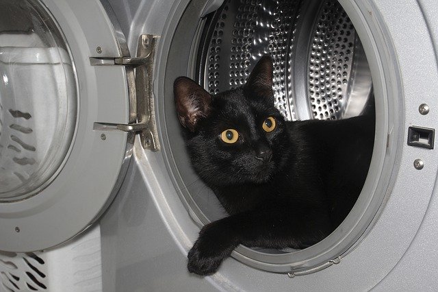 Free picture Cat House Washing Machine -  to be edited by GIMP free image editor by OffiDocs