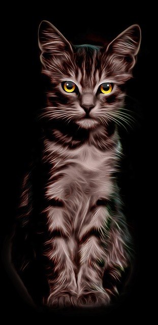 Free download Cat Illustration Yellow Eyes free illustration to be edited with GIMP online image editor